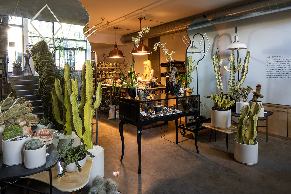 persephone botanical shop