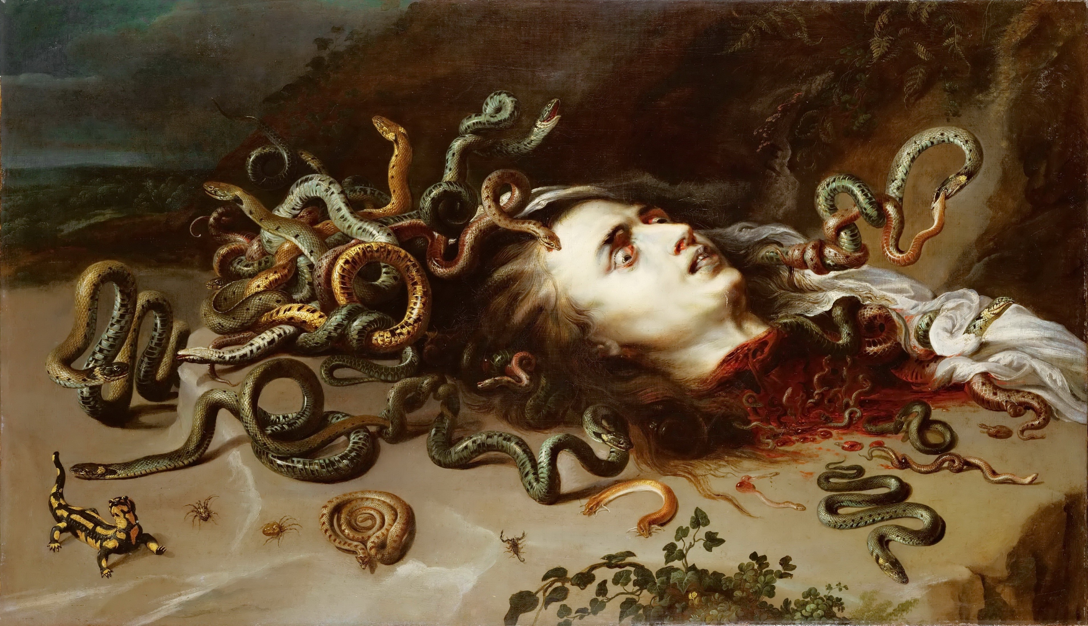 Por su naturaleza enigmática, la serpiente ha inspirado el temor desde la antigüedad. Aquí representada por Pedro Pablo Ruben en su obra 'Medusa' (1618).