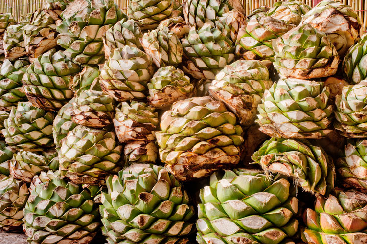 Mezcal Los Danzantes. Foto: losdanzantes.com