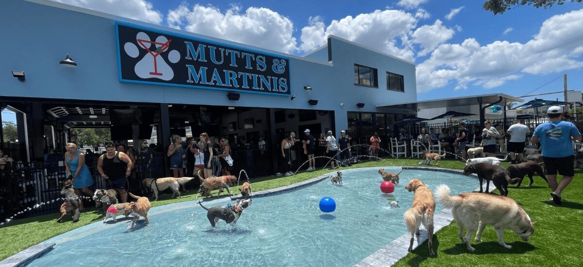 Mutts and Martinis / Foto via cortesía