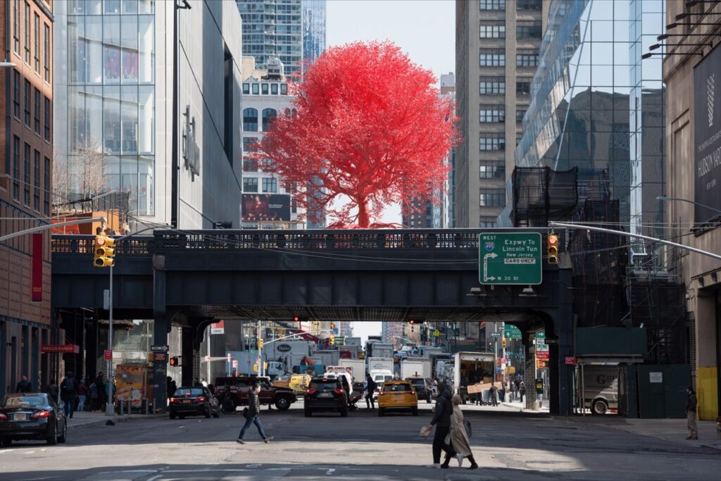 Old Tree Pamela-Rosenkranz High Line