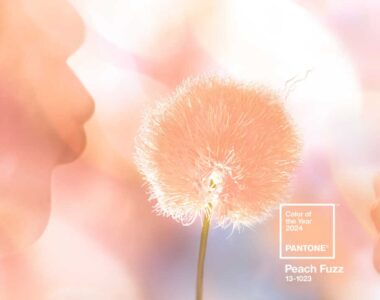 Peach Fuzz / Foto vía Pantone