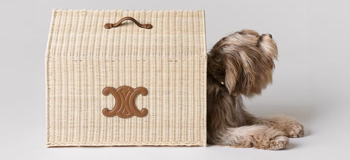 CELINE Unveils Luxurious Collection of Dog Accessories / Foto Celine