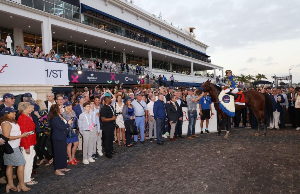 Pegasus World Cup 2024 National Treasure