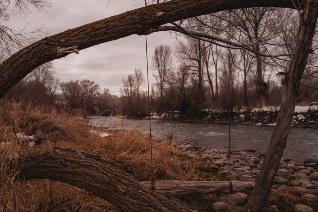 Aspen Nature / Photo via Brian Contreras