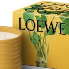 Loewe Home Scents wasabi / Photo via Loewe