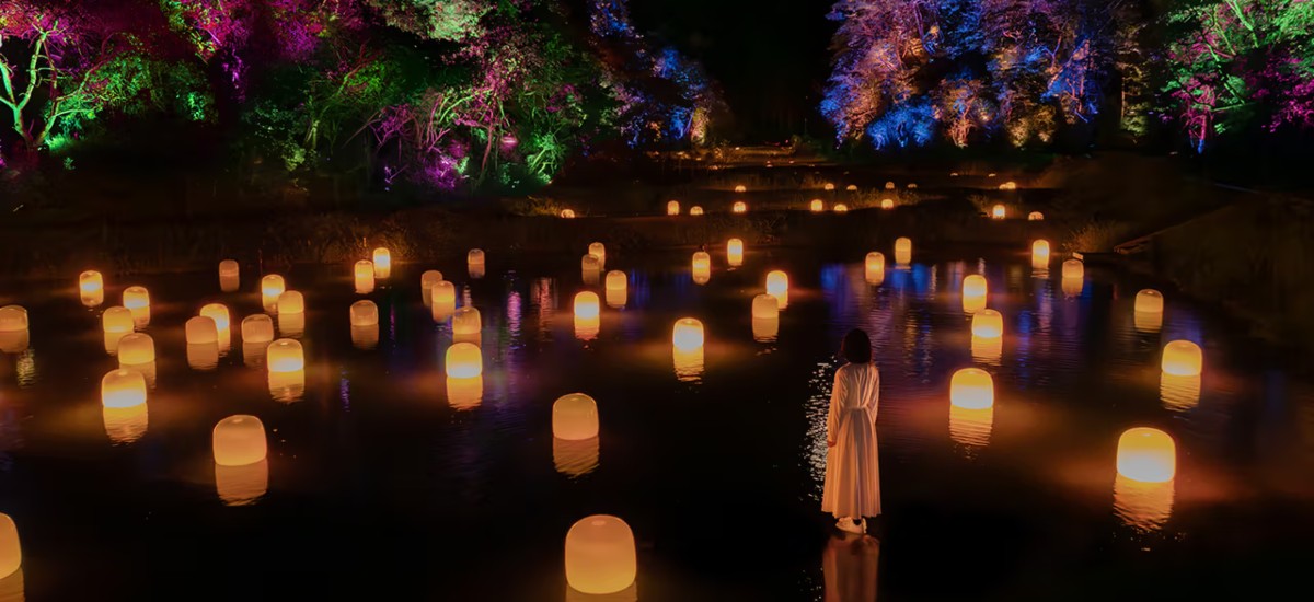 Una experiencia inmersiva en las Terrazas de Arroz de Ibaraki con teamLab / Photo via TeamLab