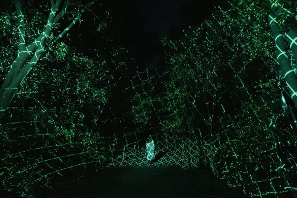 Una experiencia inmersiva en las Terrazas de Arroz de Ibaraki con teamLab / Photo via TeamLab