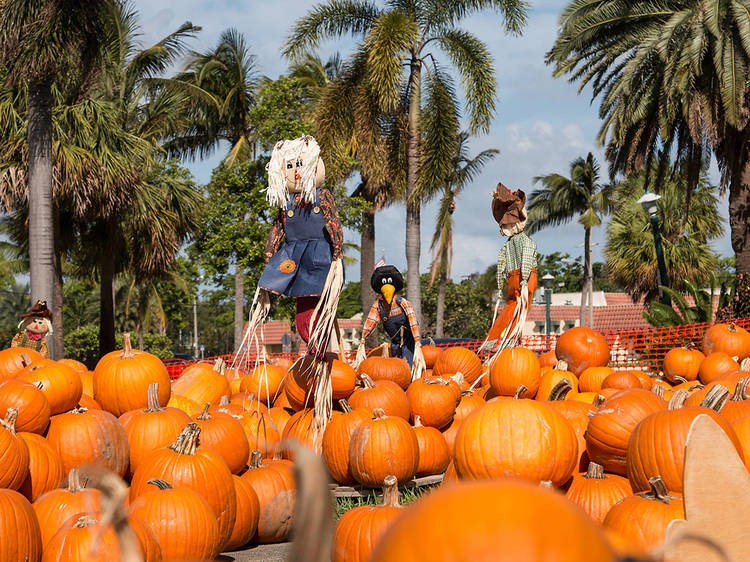 Halloween in Miami 2024: Fun, Mystery, and Thrills for Everyone / Photo via courtesy