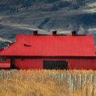 La elegancia inmersiva domina la renovada Red Barn Winery en Jagged Rock / Photo via Red Barn Winery