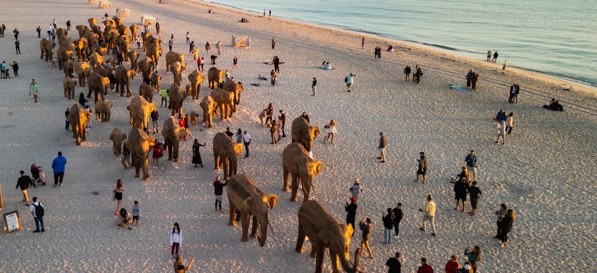 The Great Elephant Migration, a sustainable art installation, provided an unprecedented experience for visitors in Miami Beach / Photo by Brian Contreras