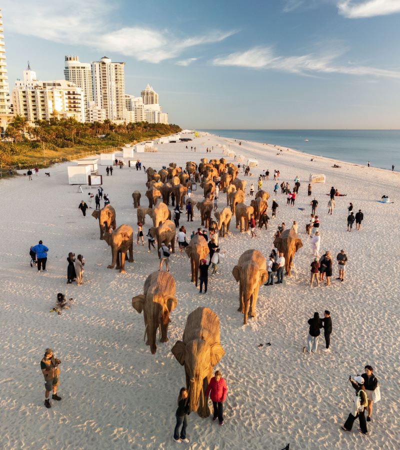 100 life-size wooden elephants / Photo by Brian Contreras