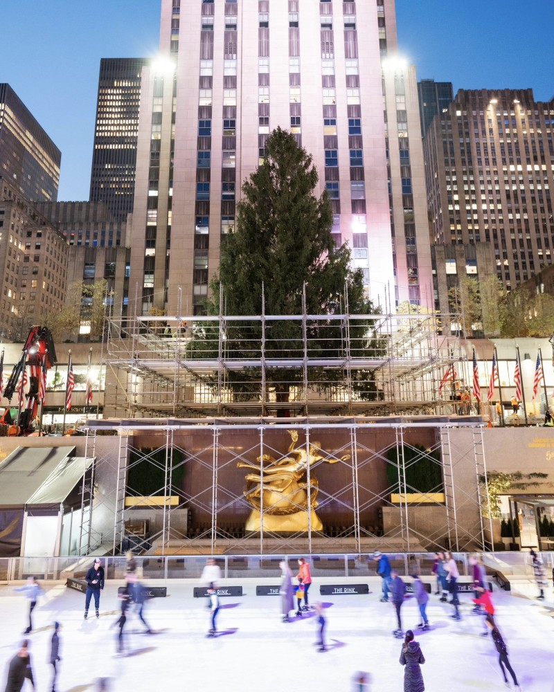 The emotional story behind the Rockefeller Center Christmas Tree in 2024 / Photo via Rockefeller Center