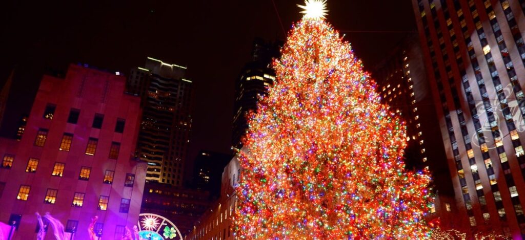 The emotional story behind the Rockefeller Center Christmas Tree in 2024 / Photo via Rockefeller Center