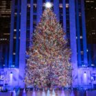 The emotional story behind the Rockefeller Center Christmas Tree in 2024 / Photo via Rockefeller Center