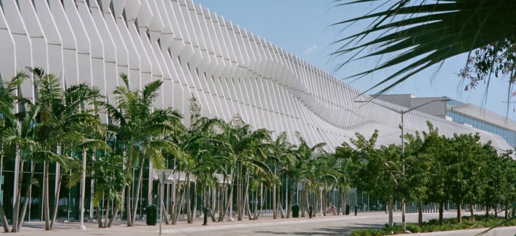 The Essential Guide to Art Basel Miami Beach 2024 / Photo via Art Basel 2024