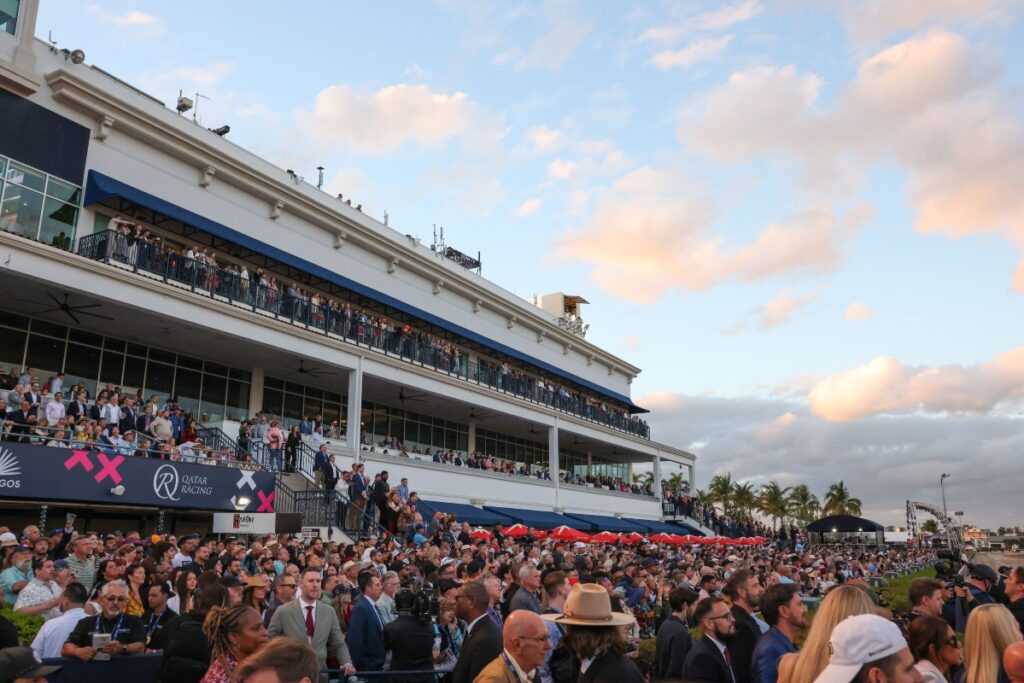 1/ST BET, the official betting app of the 2025 Pegasus World Cup, offered an exclusive betting offer to all attendees / Photo Courtesy Pegasus World Cup