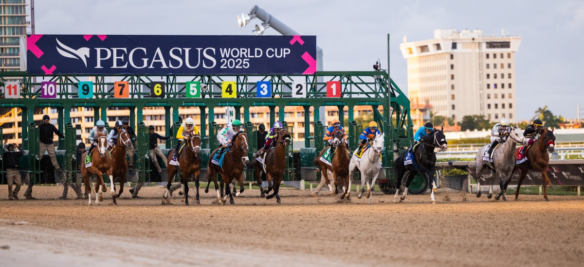 White Abarrio dominated the $3 million race / Photo Courtesy Pegasus World Cup