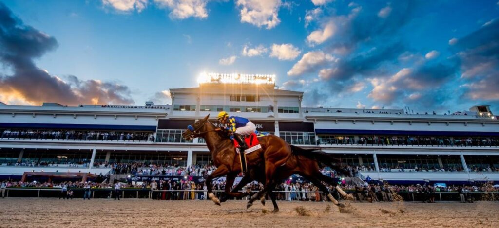 PWC 2024 - Eclipse Sportswire Turf Scott Serio / Photo via Pegasus World Cup