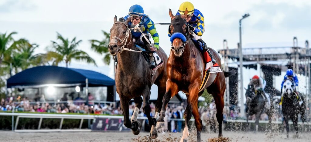 Baccarat is making a grand return in 2025 as the Official Trophy Purveyor of the Pegasus World Cup / Photo via Pegasus