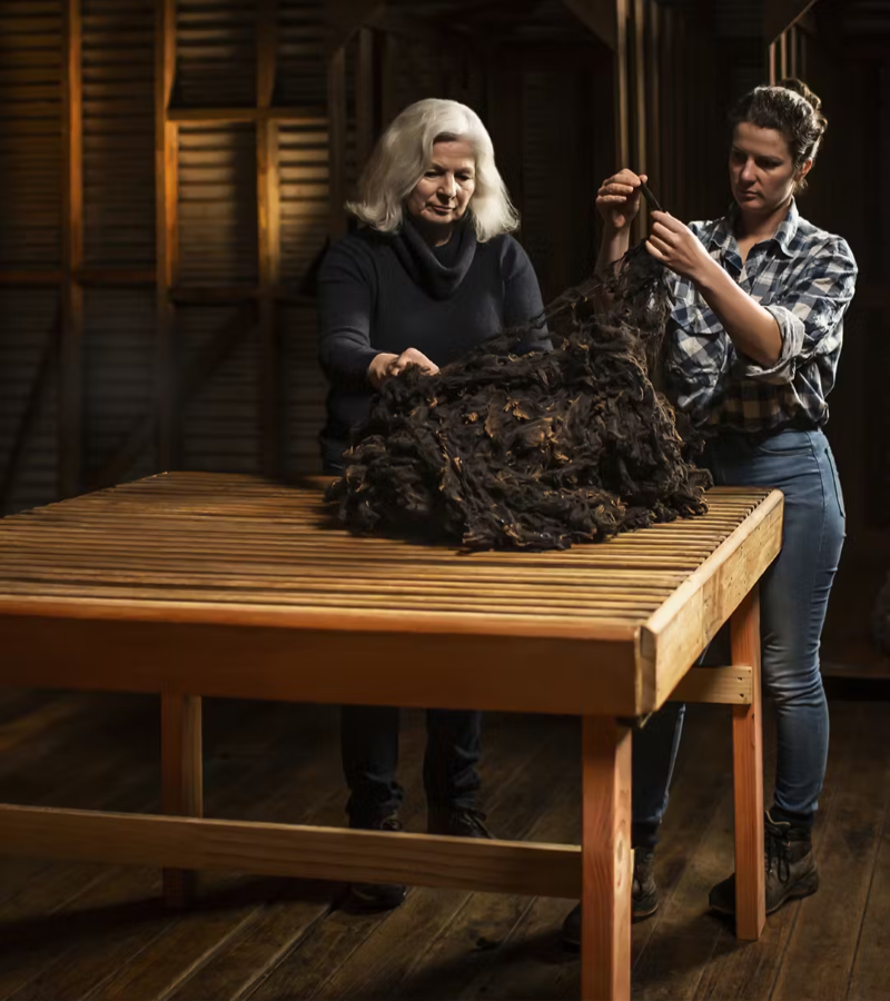 Pecora Nera by Loro Piana: The Rise of the Black Sheep in Quiet Luxury