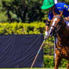 The Gauntlet Polo 2025 will once again take place at the National Polo Center on February 7 / Photo Polo Line