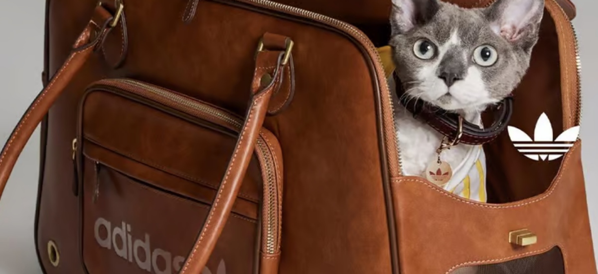 Pets are no longer accessories—they’re the ones wearing them. This shift reflects how deeply our furry friends are integrated into modern lifestyles. / Photo ADIDAS