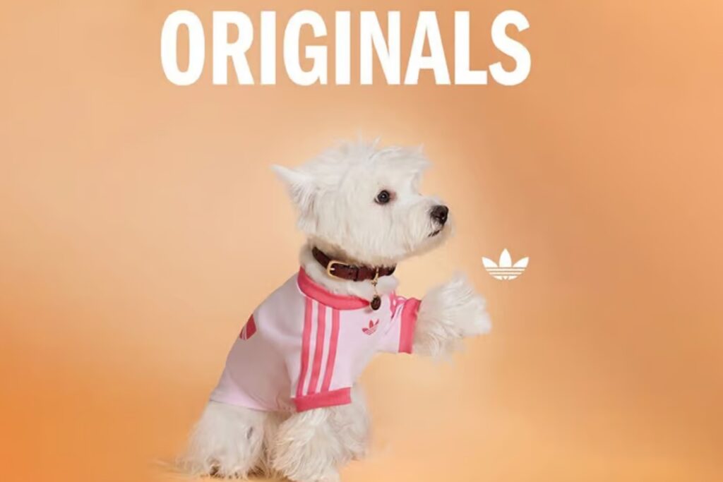 Designed with urban pet owners in mind, it features breathable panels, soft interiors, and stylish color options like olive green and neutral leather. / Photo ADIDAS