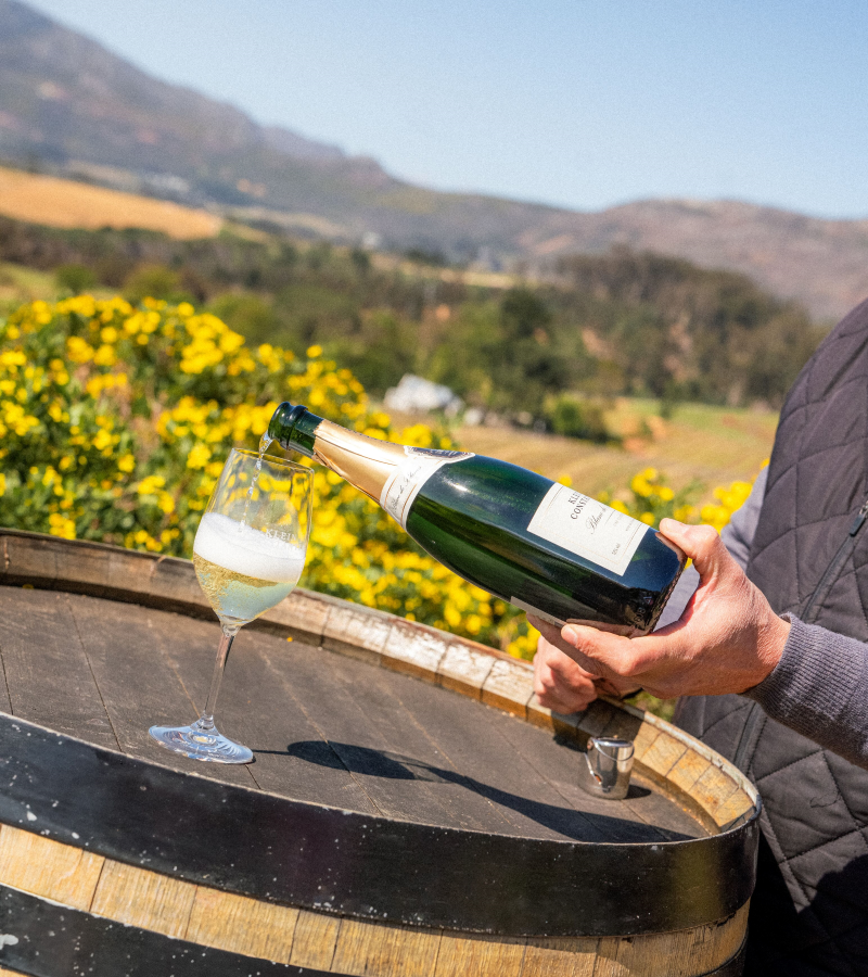 Exploring the Constantia Winelands on the "Wild Wine Adventure" in Mount Nelson / Photo Erika Hobart/Belmond