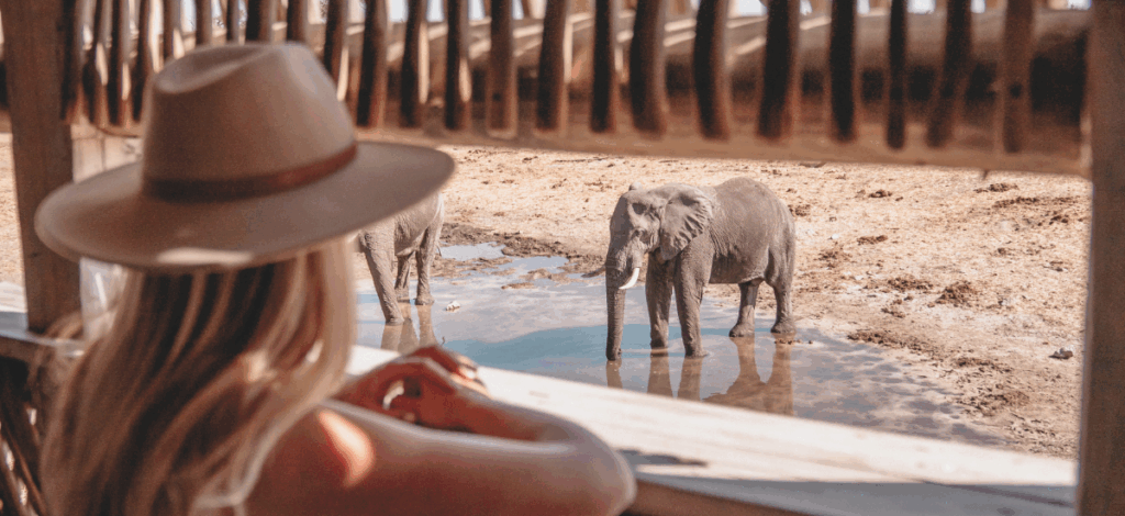 Travel experiences like Savute Elephant Lodge, A Belmond Safari, Botswana / Photo Mike Eloff & Carlinn Meyer /Belmond