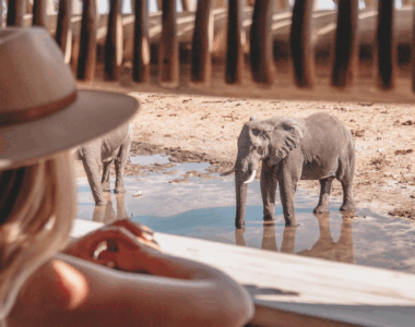 Travel experiences like Savute Elephant Lodge, A Belmond Safari, Botswana / Photo Mike Eloff & Carlinn Meyer /Belmond