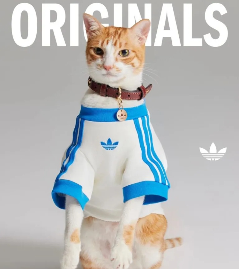 Each piece respects the comfort of animals while giving owners a way to express themselves / Photo Adidas