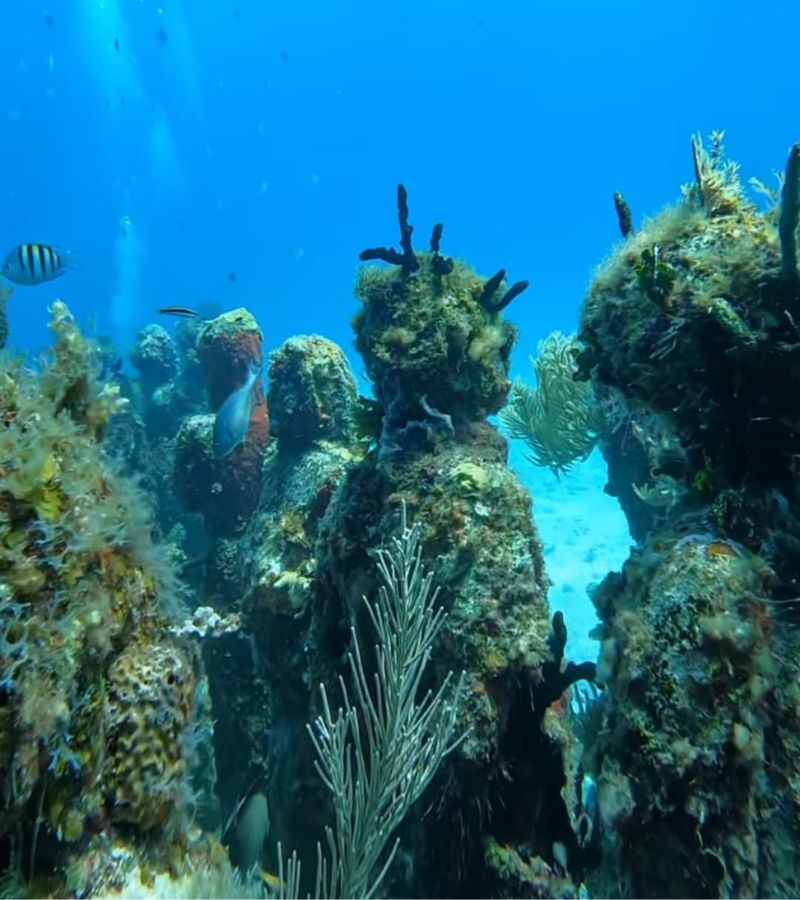 Cancun Underwater Museum