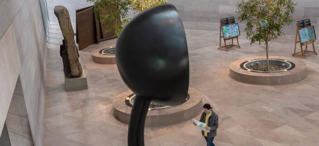 Emerging Art Stars