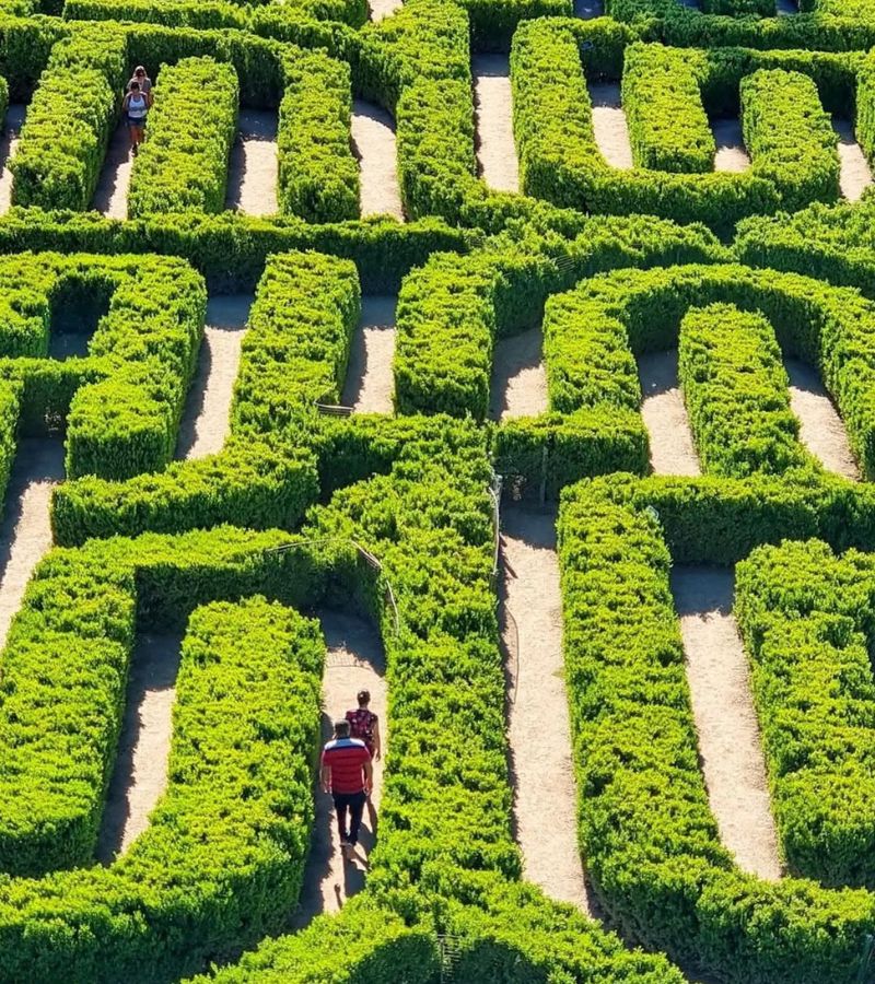 Borges Labyrinth Mendoza