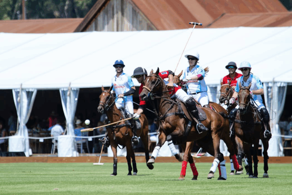 The Aspen Valley Polo Club transforms this Colorado resort town into a hub of high-speed competition, and refined lifestyle Photo IG: @aspenvalleypoloclub
