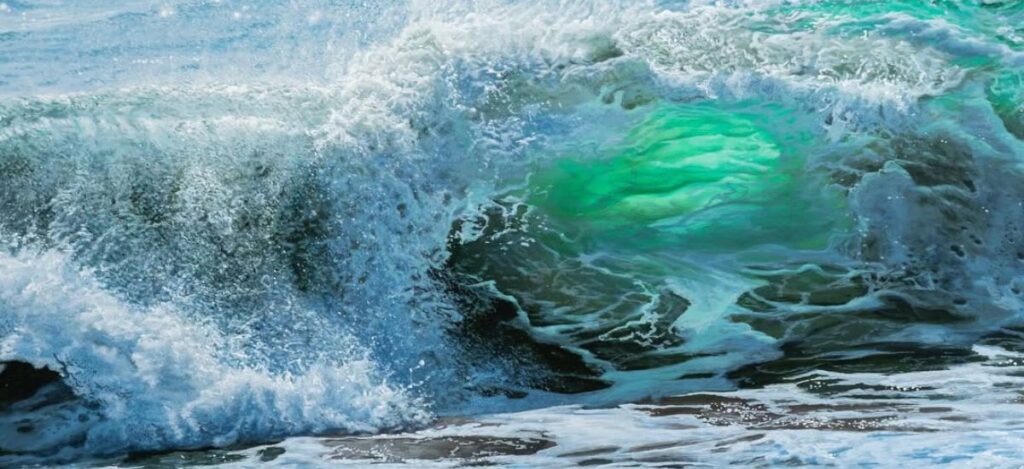 Art in the 21st Century