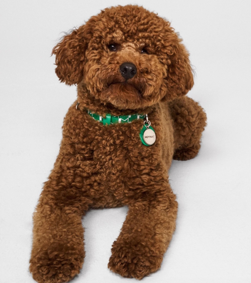 Each creation reflects the brand’s DNA: a fusion of enduring craftsmanship, rich heritage, and design originality. / Photo via Moynat