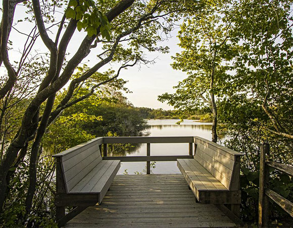 Quogue Wildlife Refuge: Trails passing through varied habitats, including special full moon hikes. / Photo via Quogue Wildlife Refuge