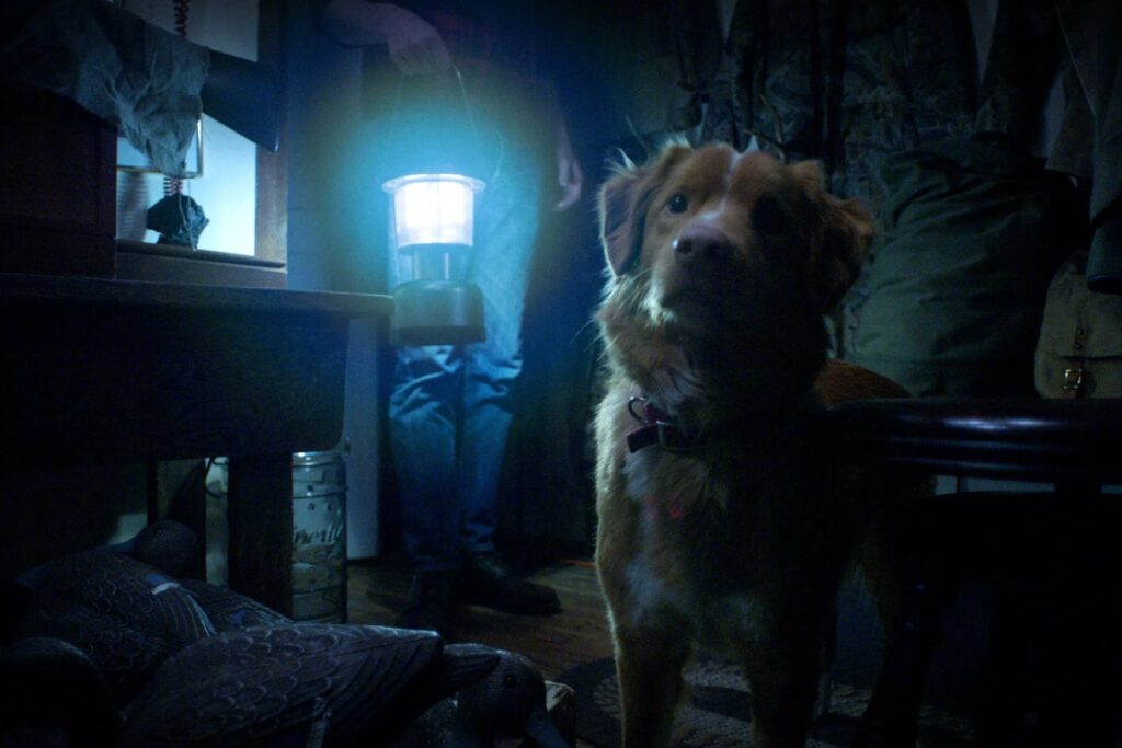 Ben Leonberg’s Good Boy emerges as an unexpected standout in horror this fall, drawing early comparisons to the cult classic Courage the Cowardly Dog / Photo via Ben Leonberg