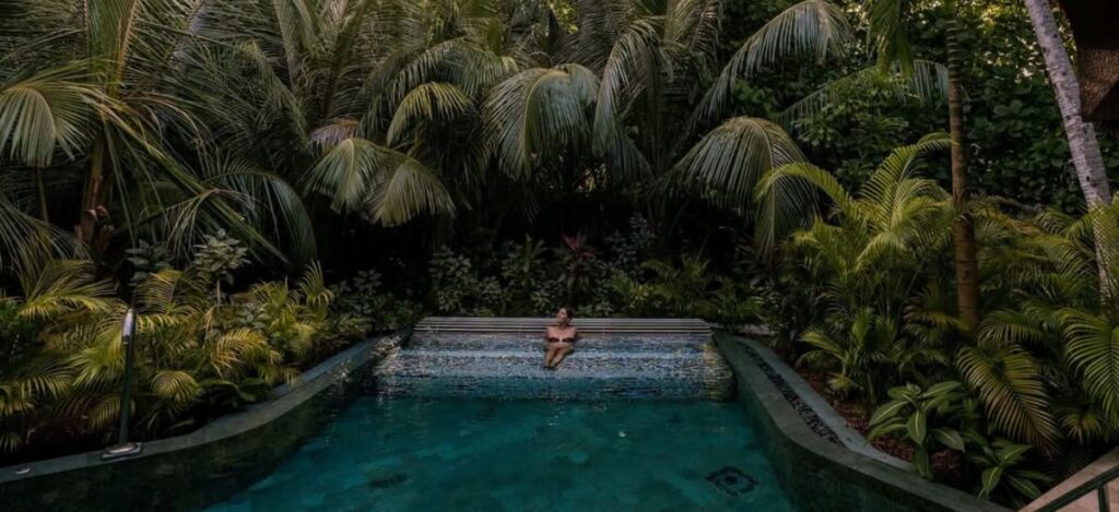 Wellness Architecture