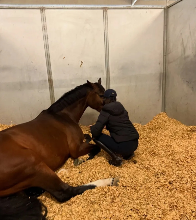 The estate includes professional horse stables, rose gardens, olive groves, private patios, a swimming pool, and a 15,000-square-foot Monterey-style mansion. / Photo via Instagram @kendalljenner