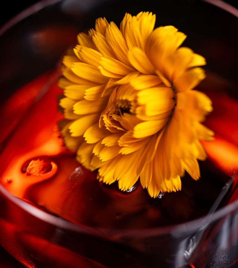 luxury Halloween cocktails