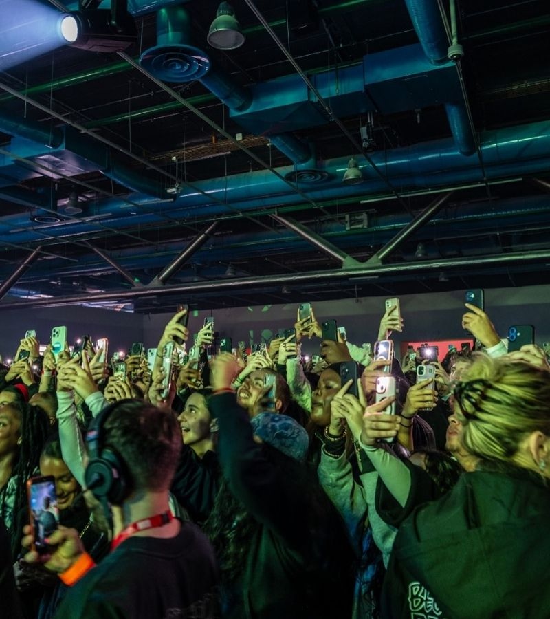 electronic performance institutionalization