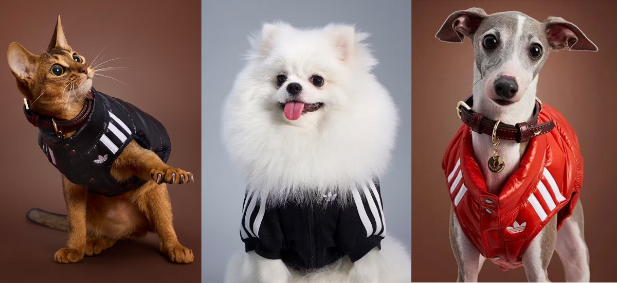 ADIDAS ORIGINAL PET COLLECTION FALL 2025