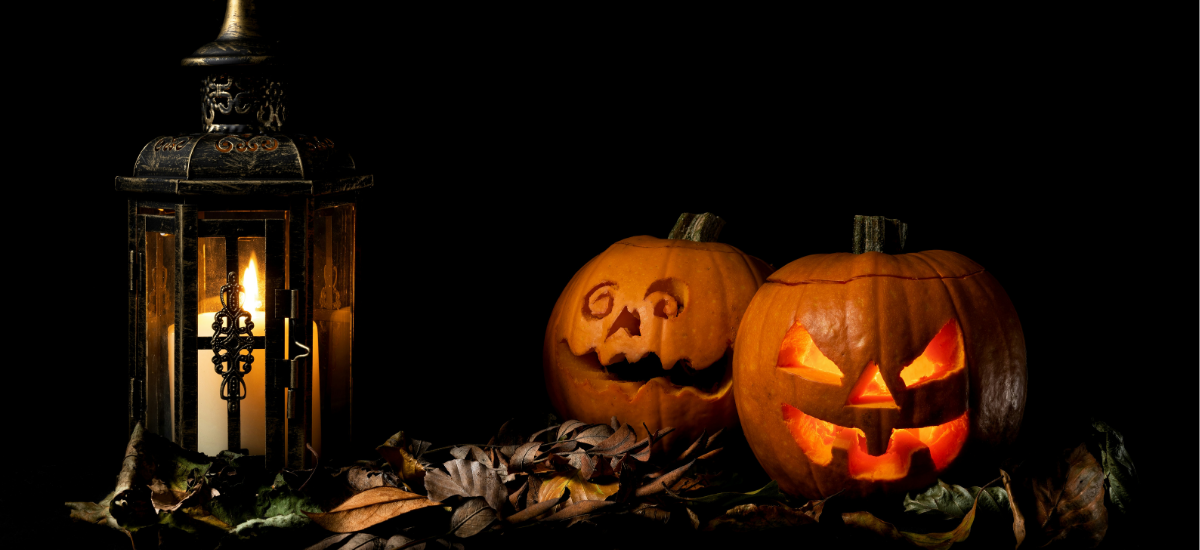 Halloween Florida tours