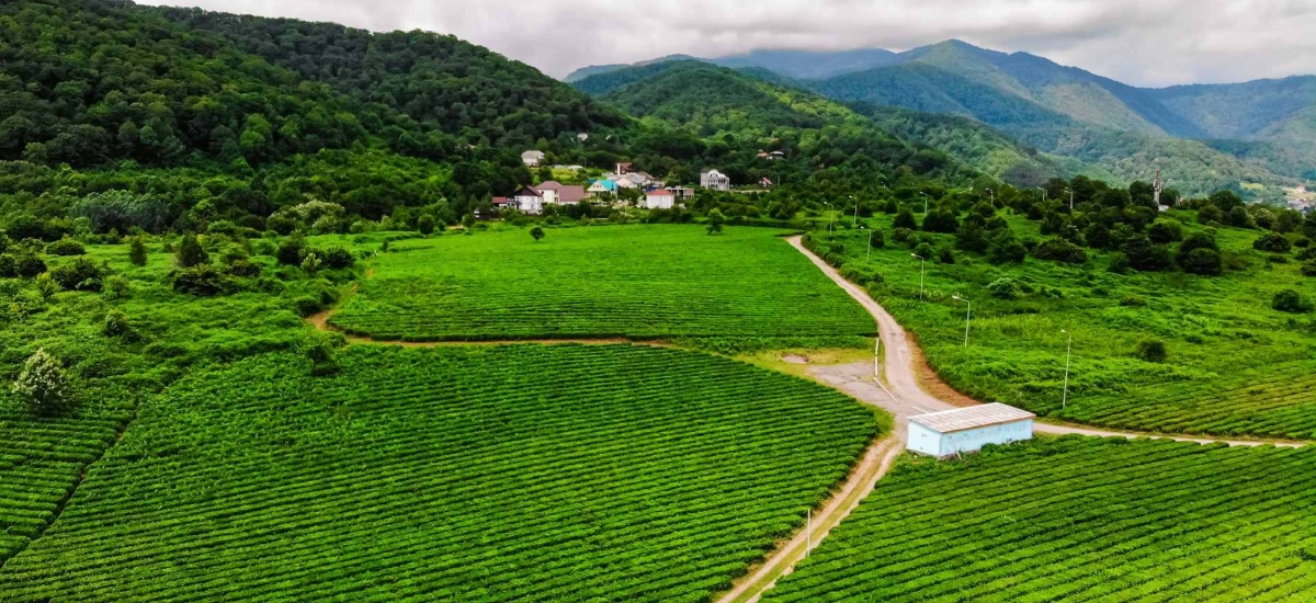 From the gentle rolling fields of Southern Europe to farm estates in the United States, this trend is growing for its ability to deliver travel with purpose / Photo via Utopiaa