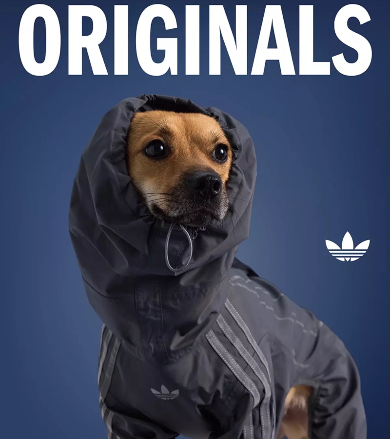 Each design reinterprets the spirit of adidas translating it into wearable pieces for four-legged friends. / Photo Adidas