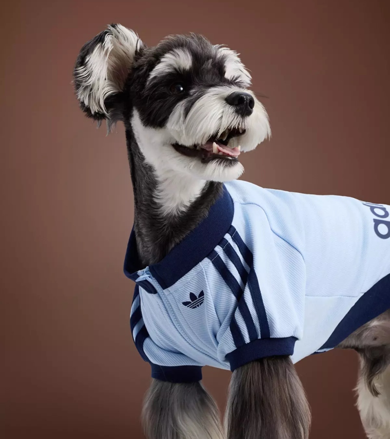 The front features a transparent Trefoil-shaped window—an inventive detail that allows pets to peek out curiously while on the go. / Photo Adidas