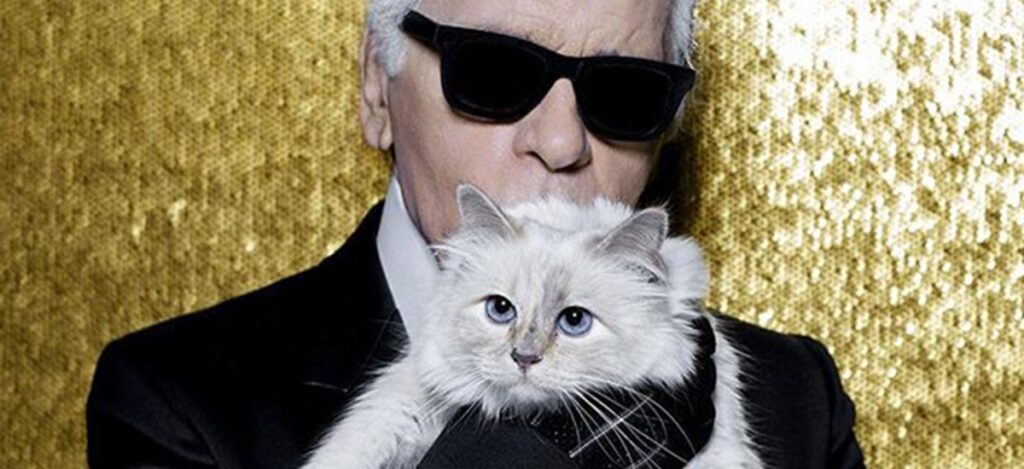 From feline muses that grace advertising campaigns to canine icons immortalized in leather handbags, designers continue to find inspiration in their most faithful companion / Photo via Karl Lagerfeld